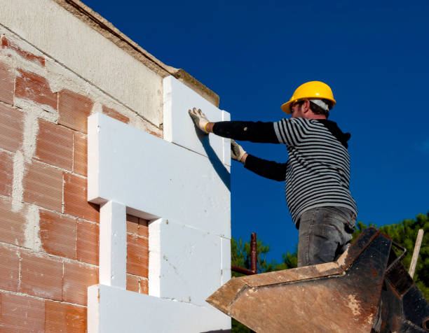 Best Home Insulation Services  in Gladstone, MO