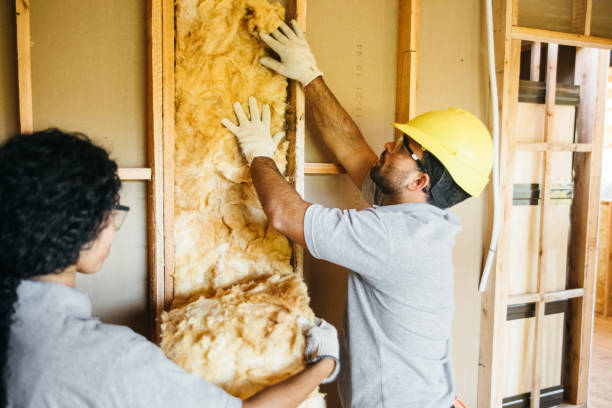 Best Insulation Replacement Services  in Gladstone, MO