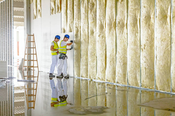 Best Best Insulation Companies  in Gladstone, MO